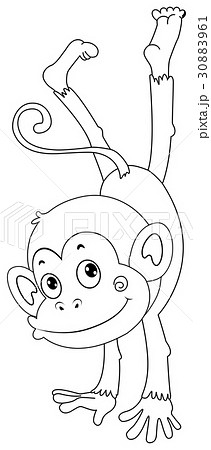 Animal outline for monkey Animal outline for monkey 30883961