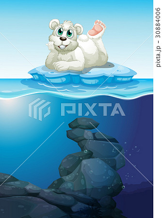 Scene with polar bear and underwater Scene with polar bear and underwater 30884006