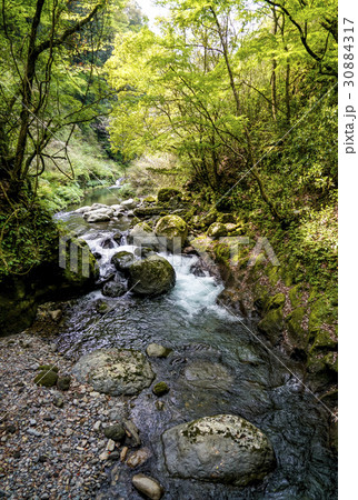天岩戸神社　五ヶ瀬川 30884317