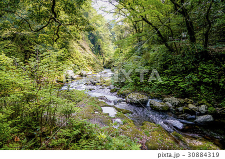 天岩戸神社 五ヶ瀬川 天岩戸神社 五ヶ瀬川 30884319