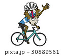自転車に乗っているマントヒヒ 30889561