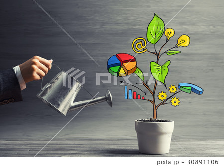 Drawn income tree in white pot for business investment savings and making money Drawn income tree in white pot for business investment savings and making money 30891106