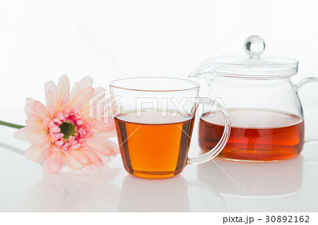 ルイボスティー 白バック ルイボスティー 白バック 30892162