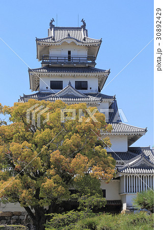 今治城天守の北東側を二の丸広場から見る 今治城天守の北東側を二の丸広場から見る 30892429