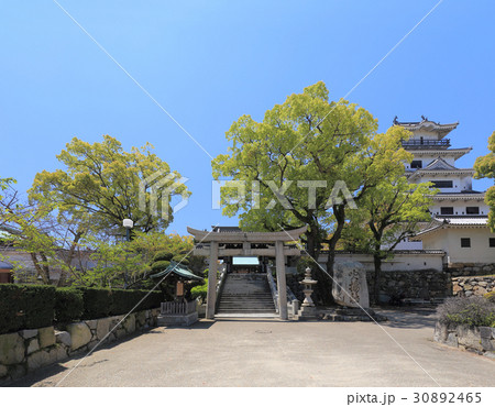 吹揚公園(今治城址)の吹揚社と天守 吹揚公園(今治城址)の吹揚社と天守 30892465