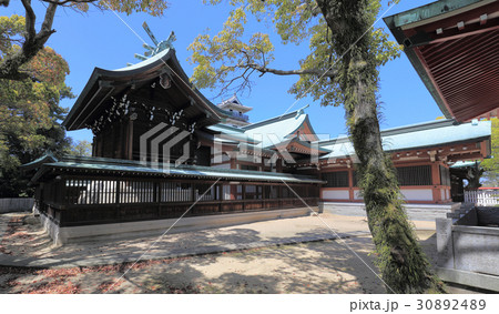 今治城天守を南、吹揚神社境内から見る 今治城天守を南、吹揚神社境内から見る 30892489