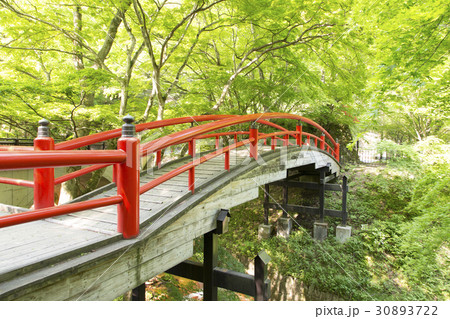 伊香保温泉 河鹿橋 伊香保温泉 河鹿橋 30893722