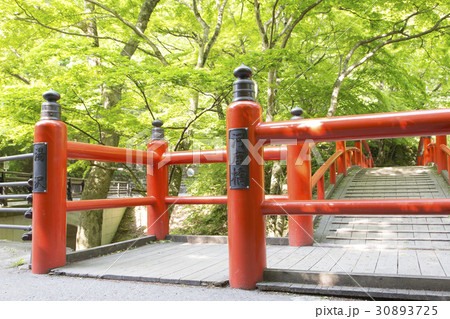 伊香保温泉　河鹿橋 30893725