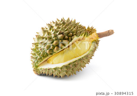 durian isolated on white background durian isolated on white background 30894315
