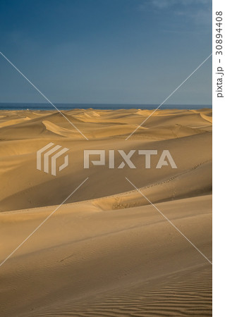 Stunning sand dunes of Maspalomas 30894408