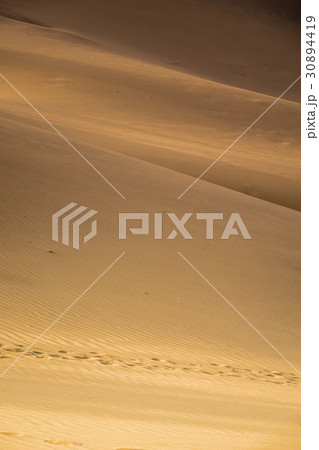 Footsteps on the sand dunes 30894419