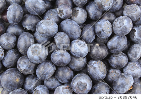 fresh blueberry fruits closeup food background 30897046