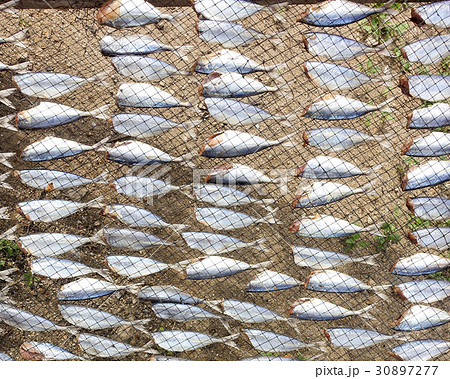 Dried fish Dried fish 30897277