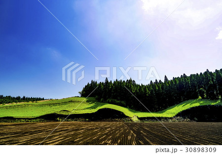 波野村　開拓地 30898309