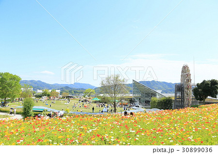 やまぐちフラワーランド やまぐちフラワーランド 30899036