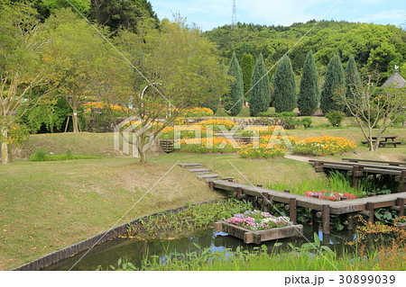 やまぐちフラワーランド 30899039