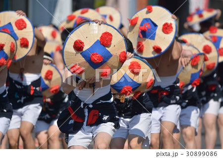 よさこい祭り 30899086