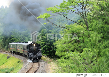 真岡鐵道「新緑の山間部を走るＳＬ」 30899102