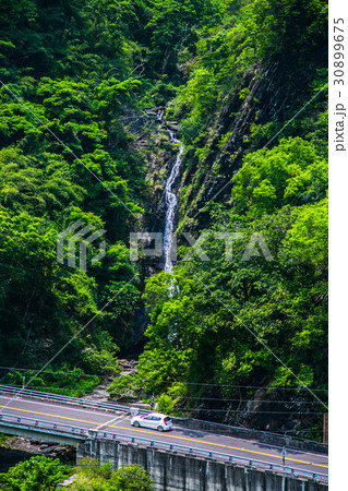 台湾 アジア人 アジアン 30899675