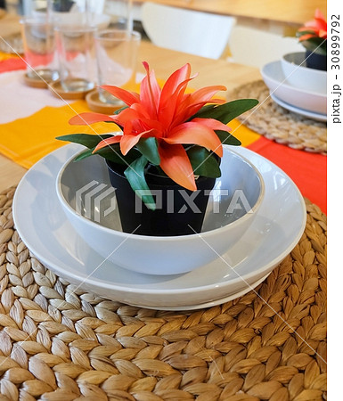 Artificial Plant with Orange Flowers in Pot 30899792