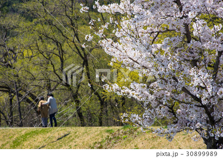 信州の春　新島々駅　梓川　桜と母娘 30899989