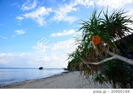 奄美　爽やかな朝の景色01 30900199