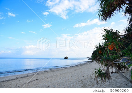 奄美　爽やかな朝の景色02 30900200