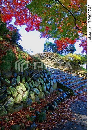 相馬中村城跡の紅葉（相馬市） 30900785