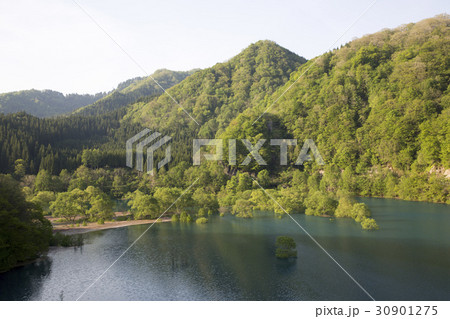 秋田県仙北市 秋扇湖 秋田県仙北市 秋扇湖 30901275