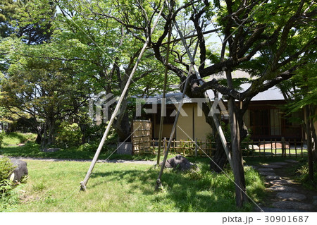 茅ヶ崎市　松籟庵 30901687