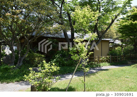 茅ヶ崎市　松籟庵 30901691