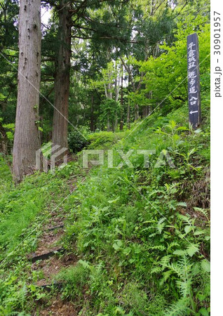 信州　小谷村　平倉城址　登山道入口　戦国時代に武田氏に攻められ落城した山城跡 30901957