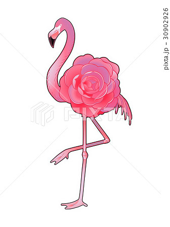 Cute Graphic Flamingoのイラスト素材