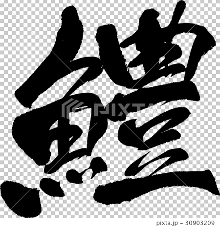 海鰻 海鰻 30903209