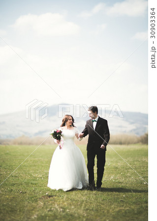 Beautiful wedding couple, bride, groom posing and 30903364