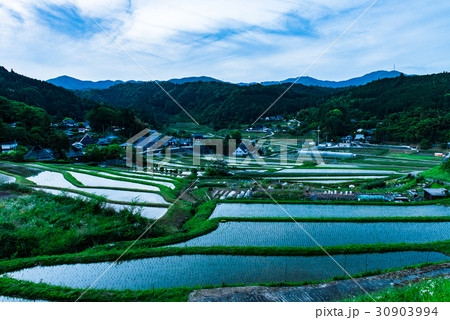 長谷の棚田　大阪　能勢 30903994