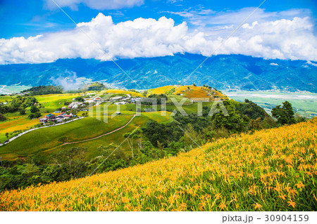 台湾 花蓮 池上 30904159