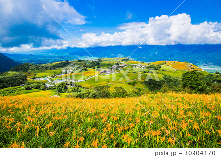 台湾 花蓮 池上 30904170