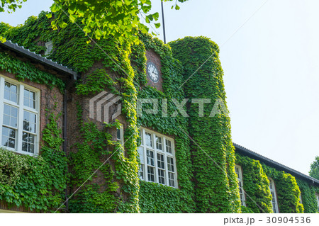 立教大学1号館（モリス館） 30904536