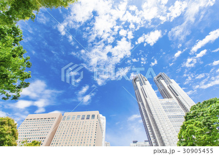 オフィス街の高層ビルと緑 30905455