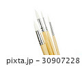 Paint brush isolated  on white back ground 30907228