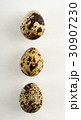 Quail egg isolated on white back ground 30907230