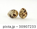 Quail egg isolated on white back ground 30907233