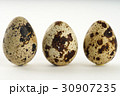 Quail egg isolated on white back ground 30907235