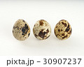 Quail egg isolated on white back ground 30907237