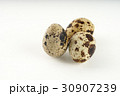 Quail egg isolated on white back ground 30907239