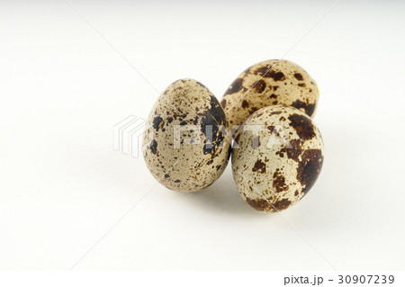 Quail egg isolated on white back ground Quail egg isolated on white back ground 30907239