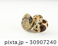 Quail egg isolated on white back ground 30907240