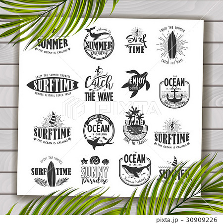 Summer Designs on Tropical Beach Background 30909226