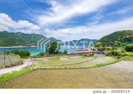 新鹿海岸の風景 30909554